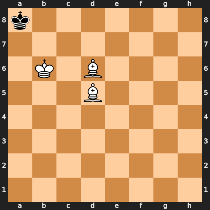 What is Chess Endgame Technique?